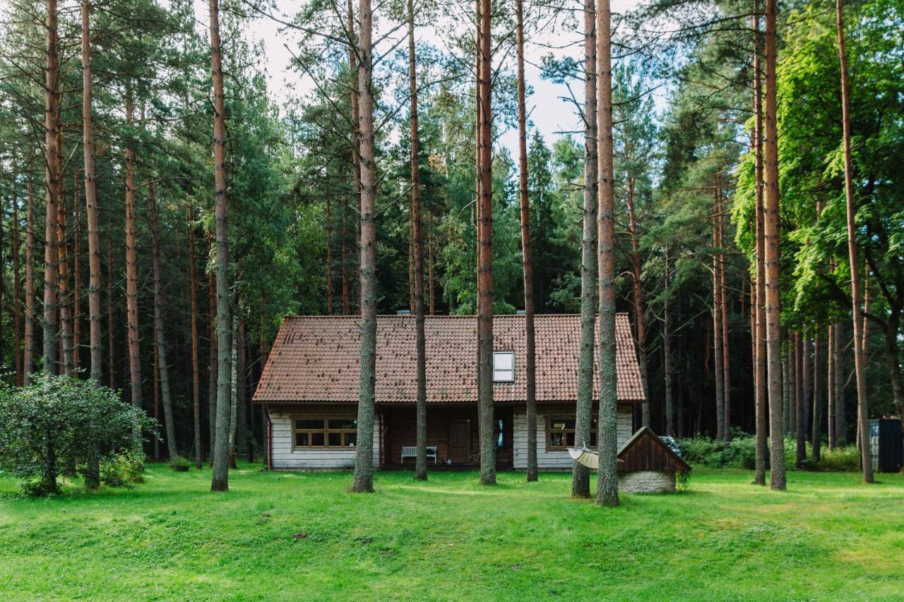 Ruudu Talu Villa Eru Exterior photo